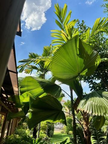 Syama Residence Phra Nakhon Si Ayutthaya Ngoại thất bức ảnh